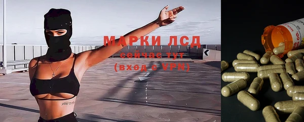 прущие крисы Горняк
