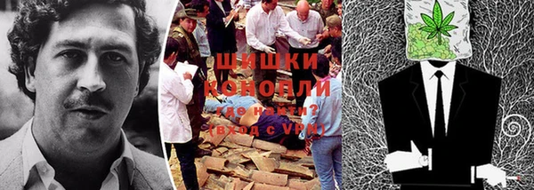 прущие крисы Горняк