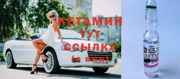 прущие крисы Горняк