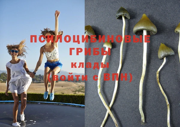 прущие крисы Горняк