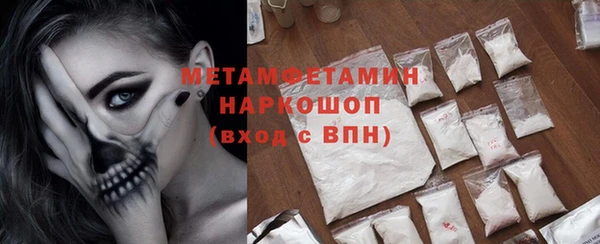 прущие крисы Горняк