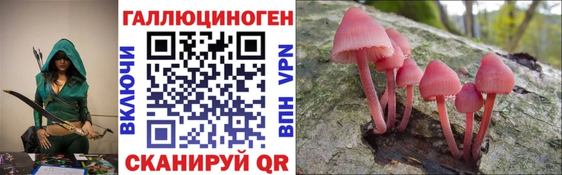 darknet формула  где купить наркоту  mega как войти  Западная Двина  Псилоцибиновые грибы мицелий 