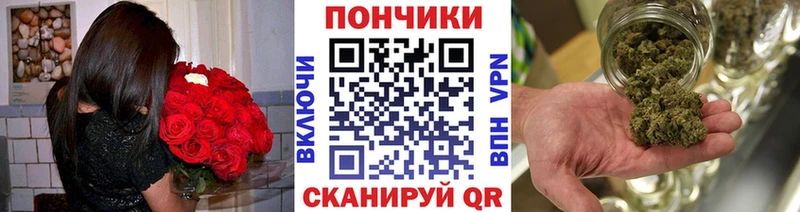 МЕГА сайт  Западная Двина  Марихуана марихуана 